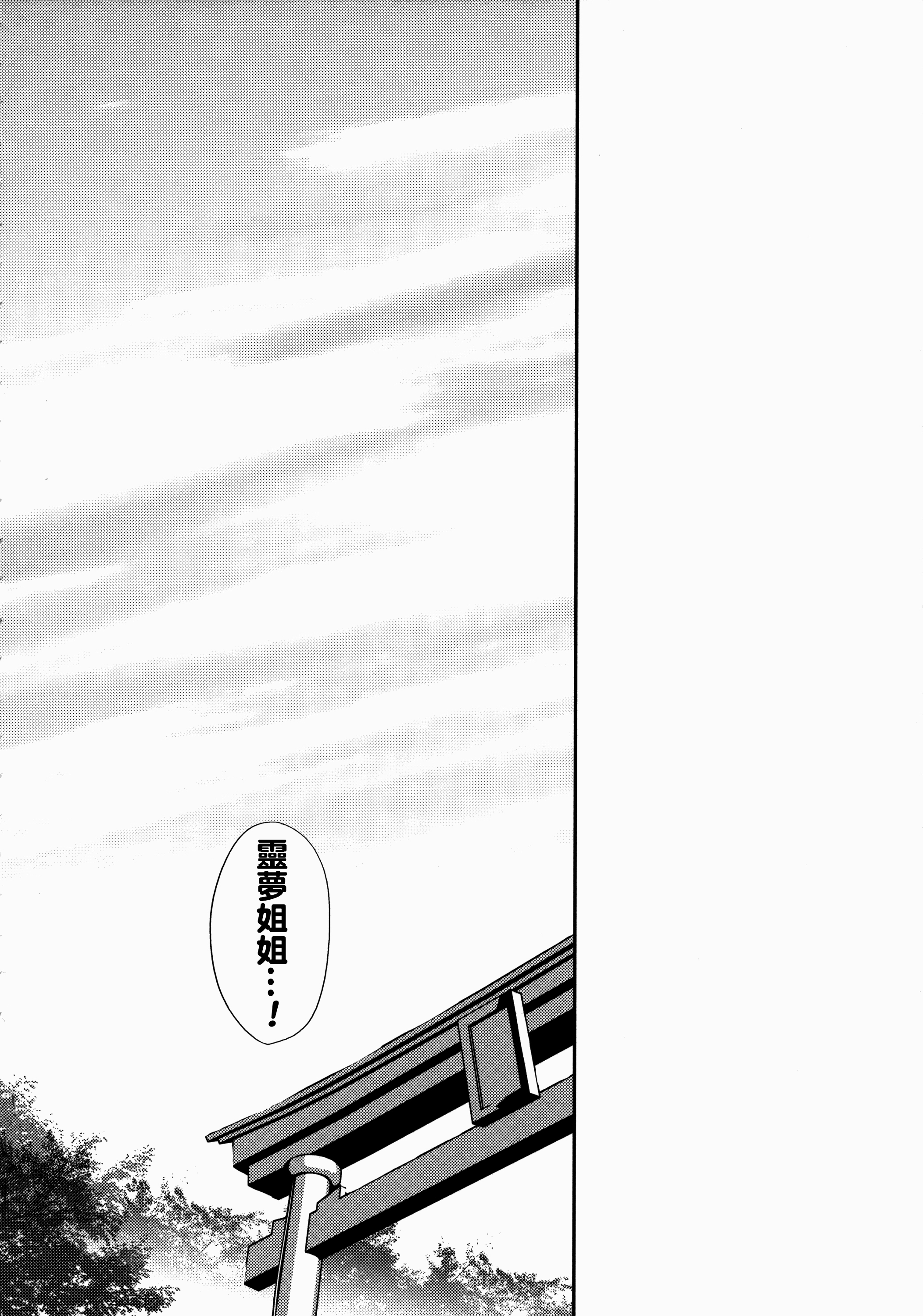 (C88) [Toriaezu(kari) (Tororo)] Reimu x Terako (Touhou Project) [Chinese] [oo君個人漢化] page 5 full