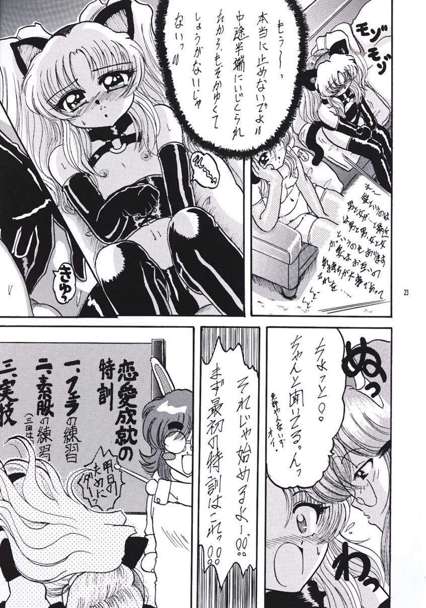 (C55) [L-Gauge Sha (Shōryū)] R2 (Martian Successor Nadesico) page 22 full