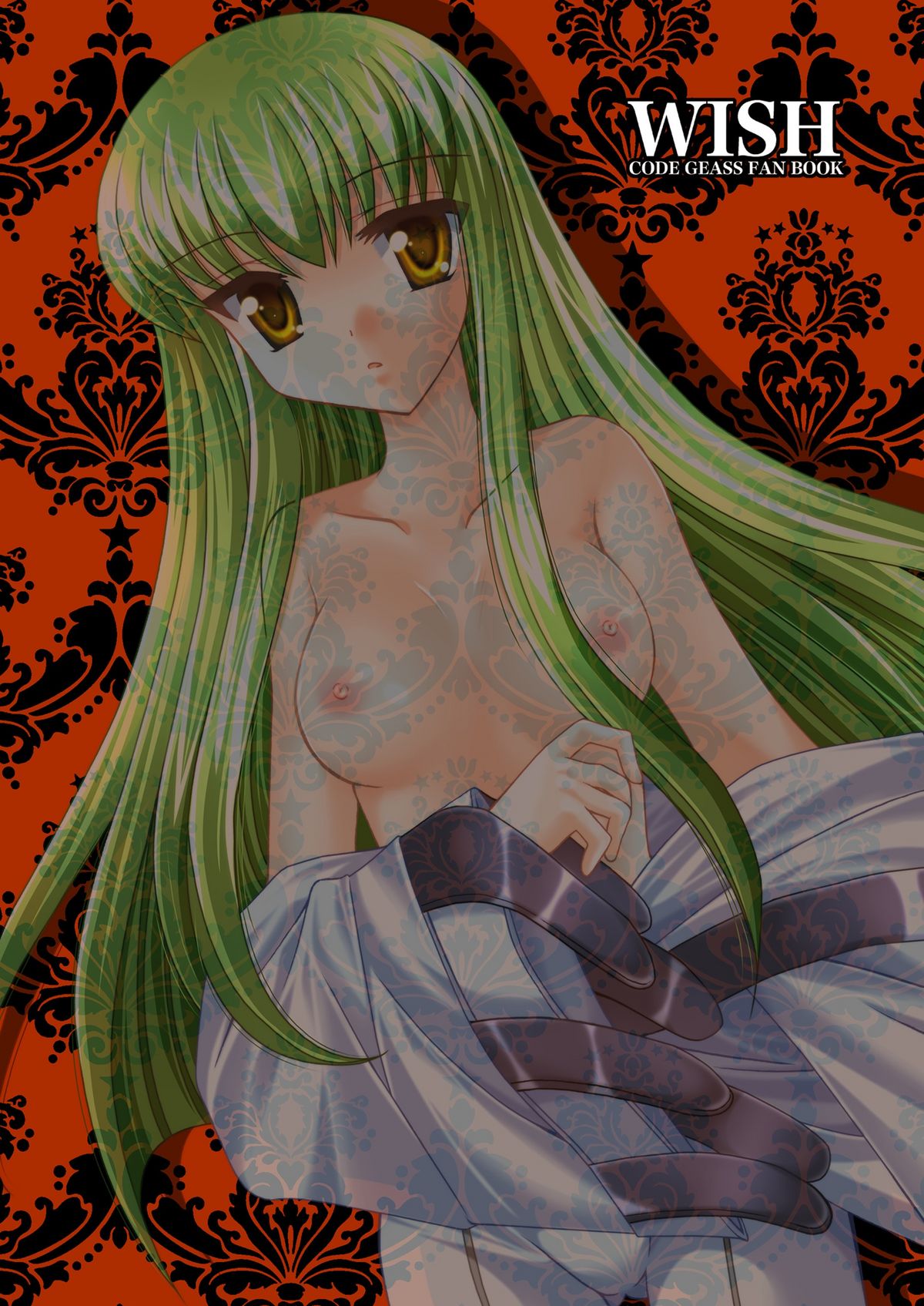 [ARC (Tamagawa Yukimaru)] WISH (Code Geass) page 24 full