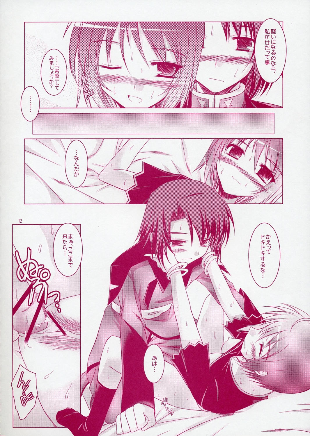 (SC28) [Ponbikiya, Suirankaku (Ibuki Pon)] REDDISH PURPLE-02B (Gundam Seed Destiny) page 11 full