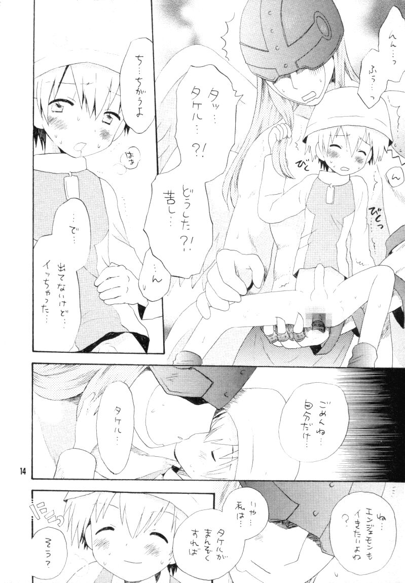 (CCTokyo96) [Haniwa Mania, Kuruguru DNA (Pon Takahanada, Hoshiai Hiro)] Bokura No Jogress World (Digimon Adventure 02) page 14 full