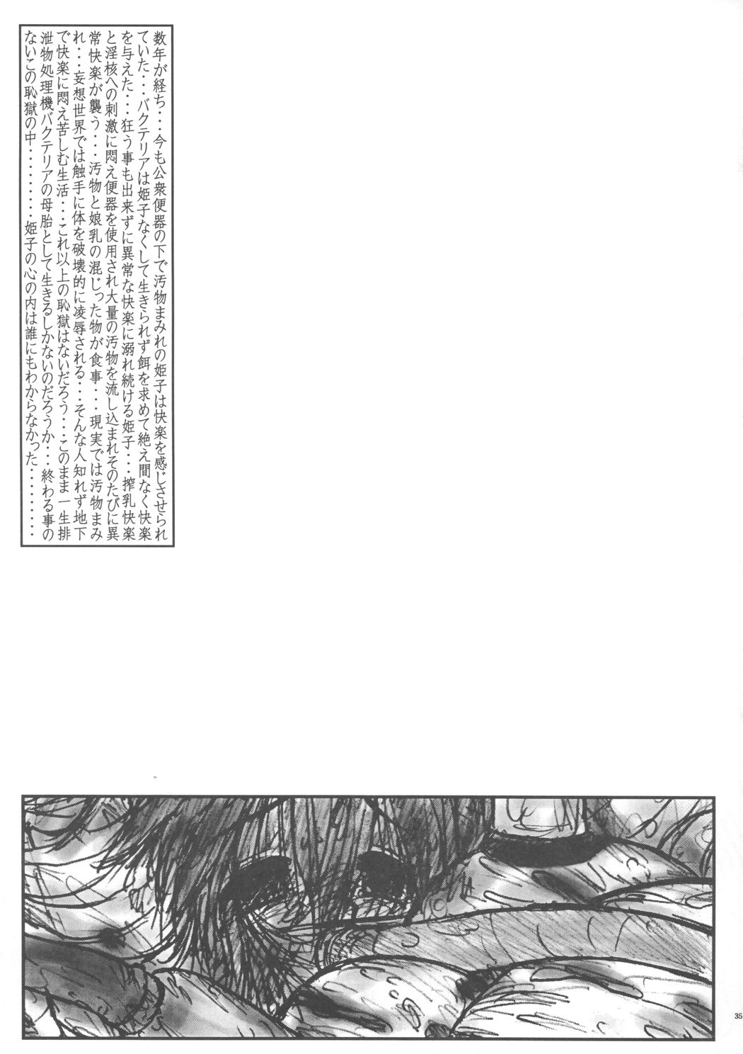 [Circle ENERGY (Imaki Hitotose)] Hime Puchi (Hyper Anna) [2004-01-20] page 34 full