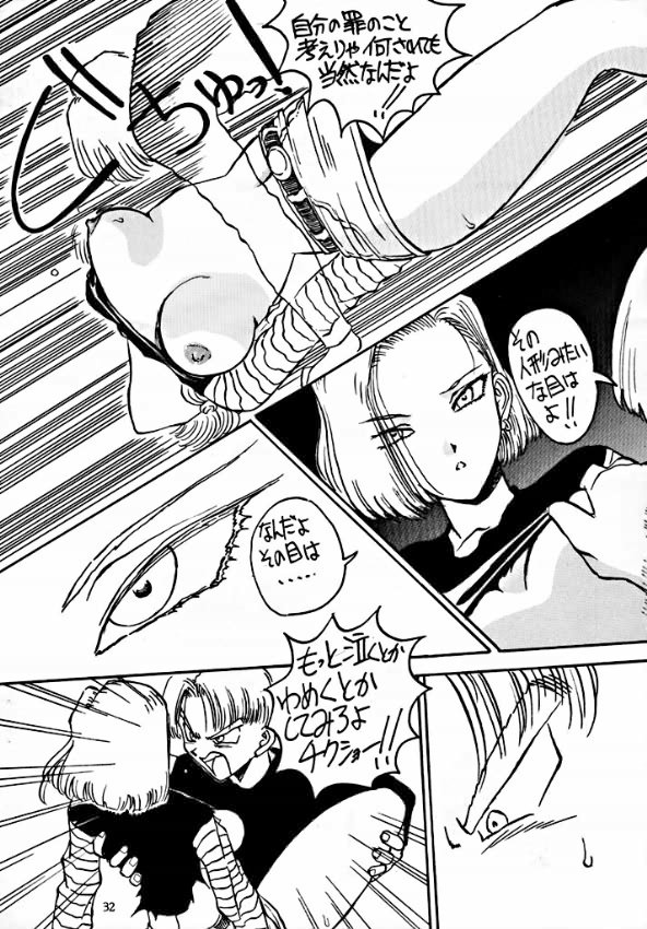 [Oiwaidou] PREY OF BIRD (Dragon Ball) page 34 full
