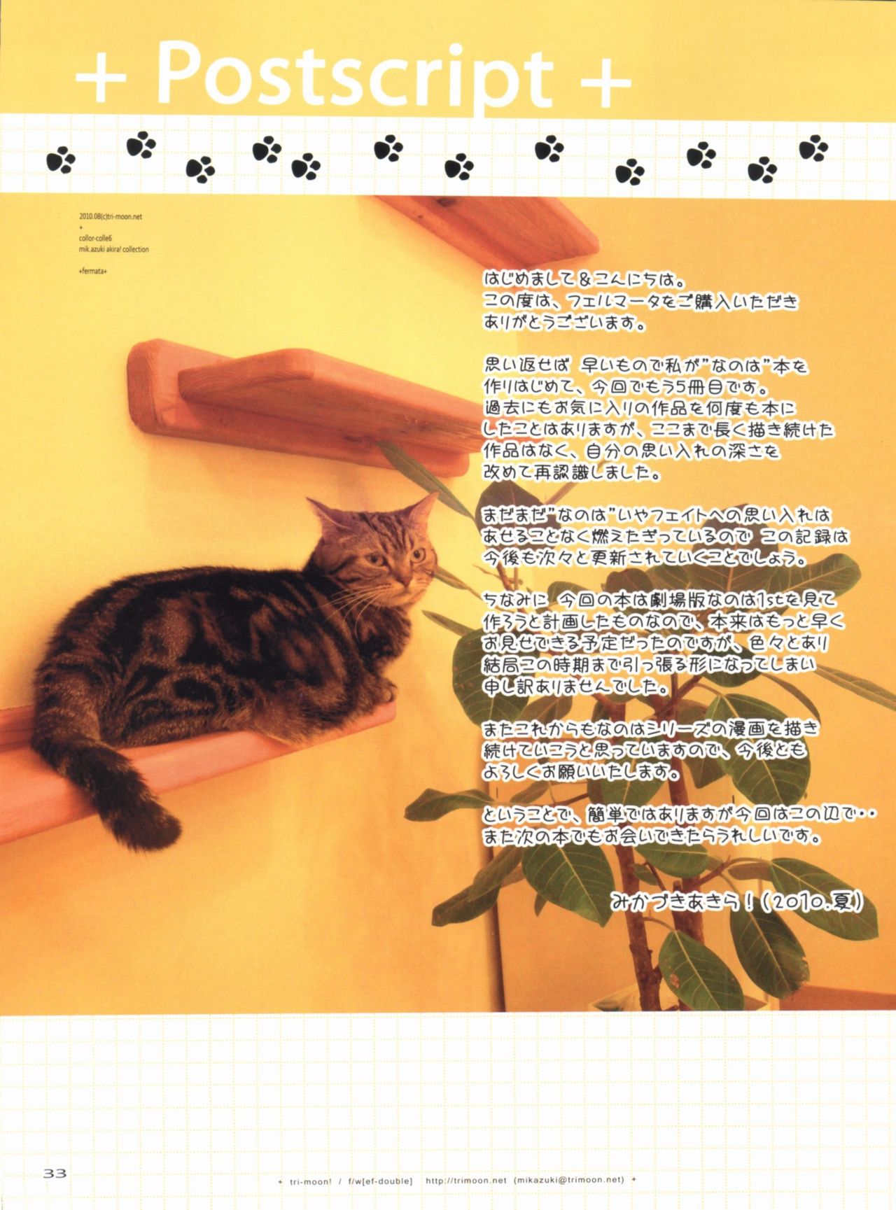(C78) [TRI-MOON! (Mikazuki Akira!)] FERMATA (Mahou Shoujo Lyrical Nanoha) [Chinese] [靴下汉化组] page 32 full