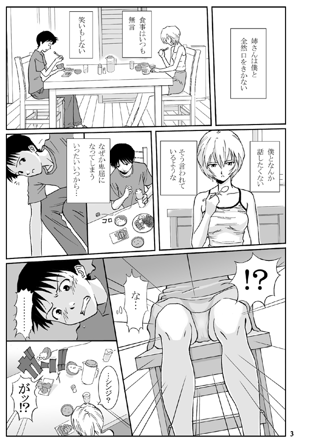 [Homunculus] e-GIRLS Vol.5 Ane=Rei (Neon Genesis Evangelion) page 4 full