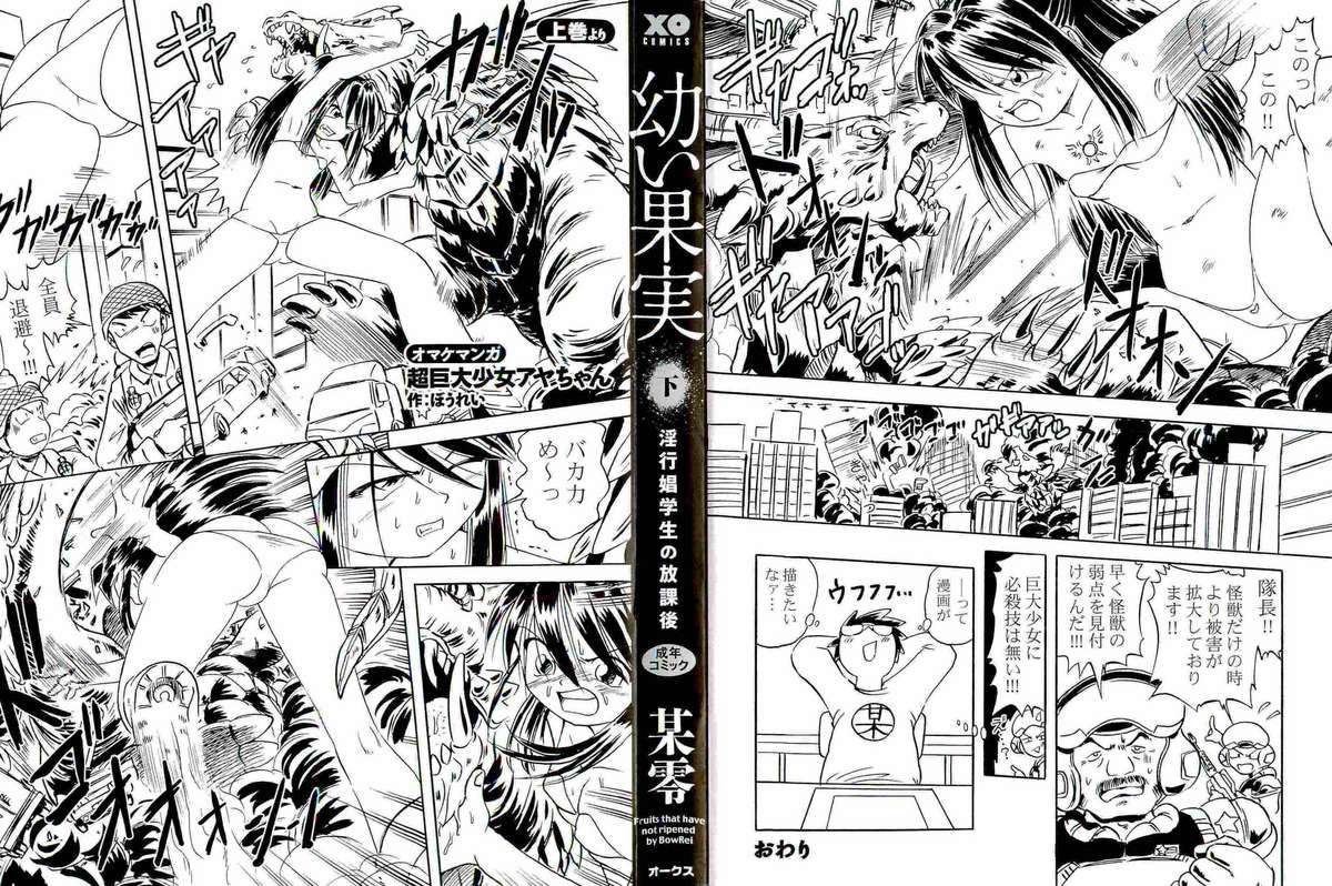 [Bow Rei] Osanai Kajitsu Ge page 2 full