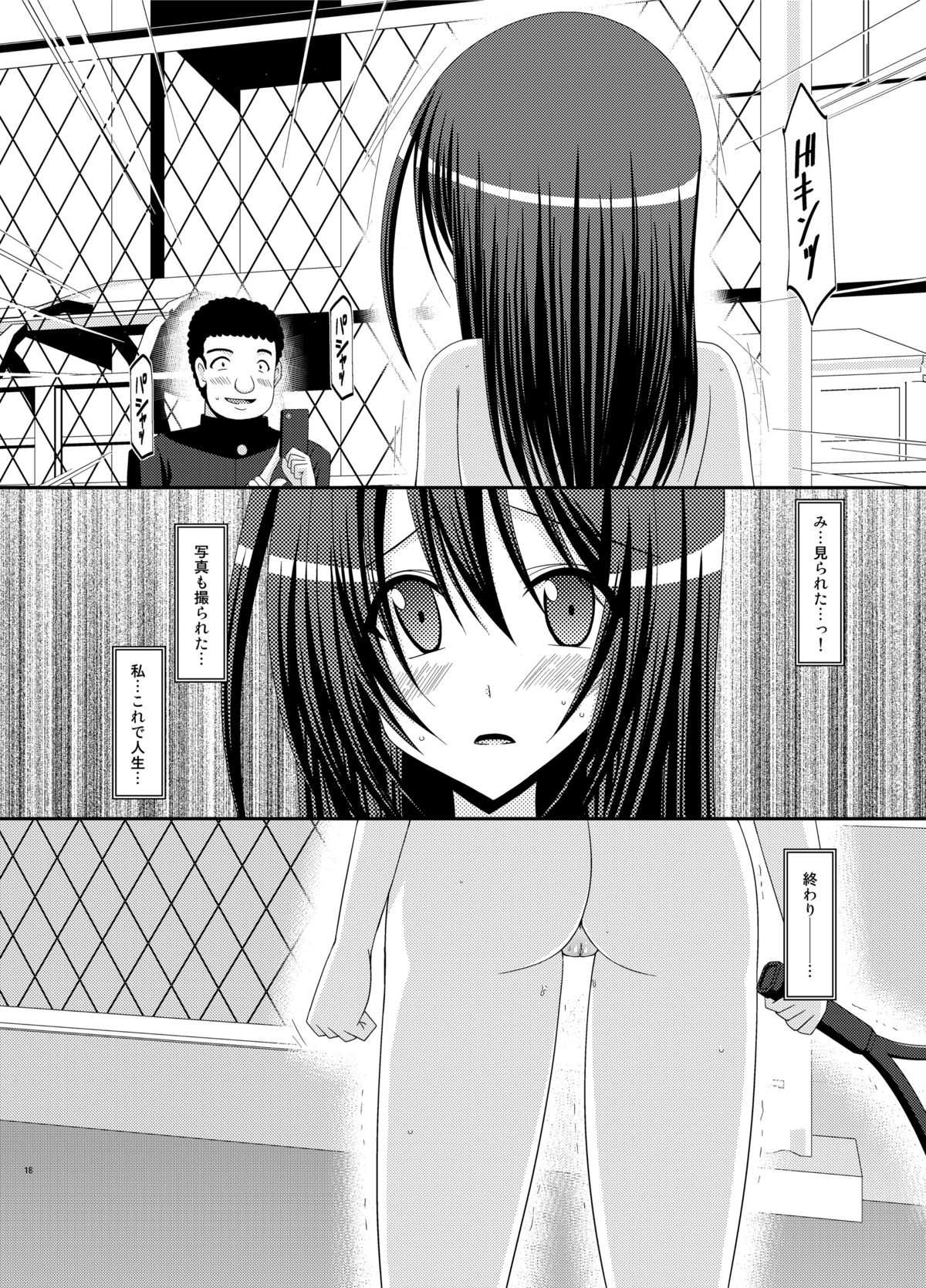 (C83) [valssu (Charu)] Valssu No.100 page 17 full