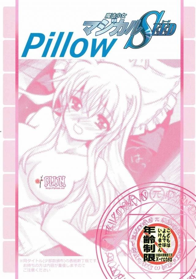 (SC2016 Autumn) [PLUM (Kanna)] Magical SEED Pillow (Mahou Shoujo Lyrical Nanoha) page 22 full