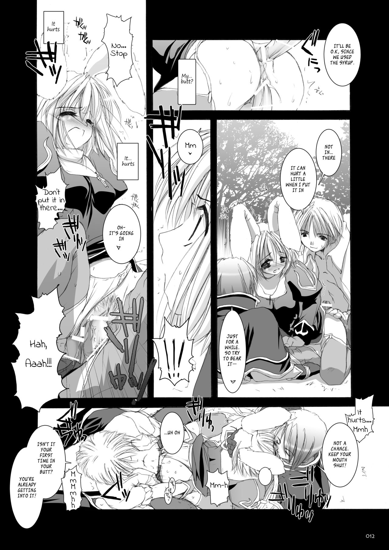 [Digital Lover (Nakajima Yuka)] Rough Sketch 11 (DL-RO Soushuuhen 02) (Ragnarok Online) [English] [EHCOVE] [Digital] page 11 full