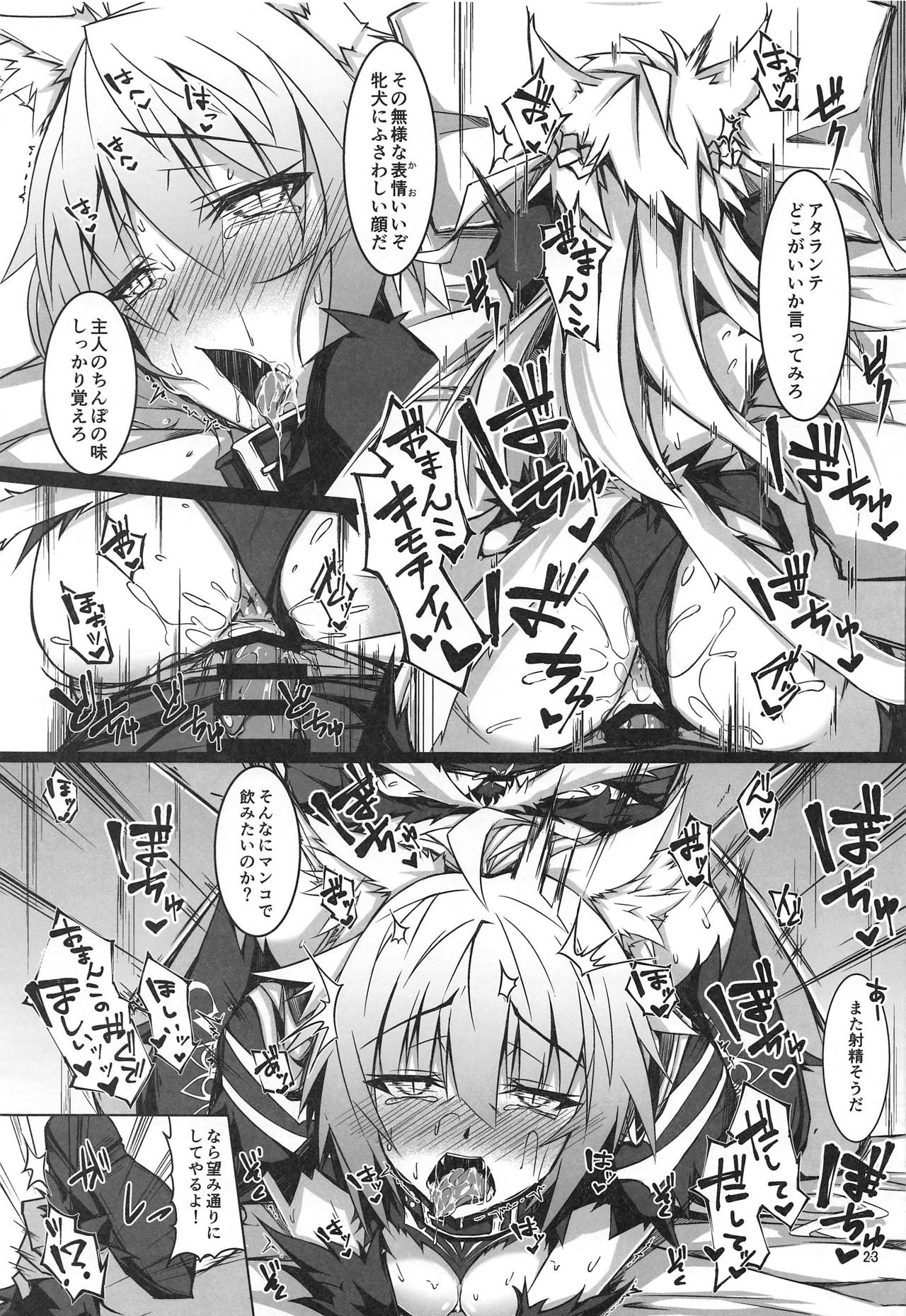 (C95) [eK-SHOP (Tsuizi)] Ryouken wa Mesuinu Rashiku (Fate/Grand Order) page 22 full