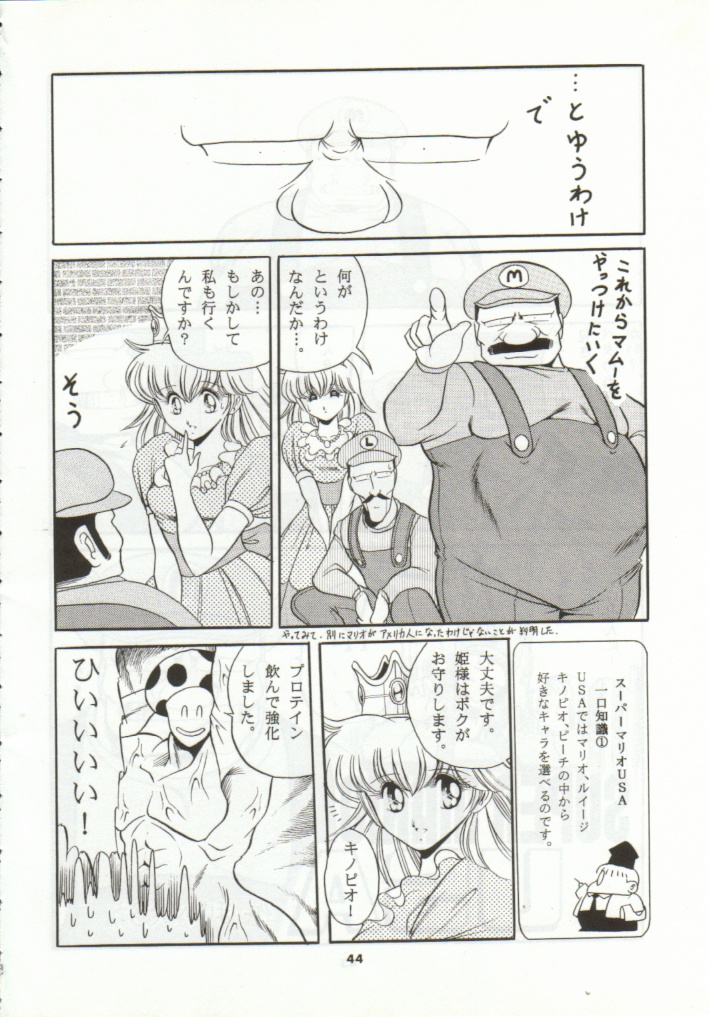 (CR15) [Circle Taihei-Tengoku (Horikawa Gorou)] Super Mario Collection (Super Mario Brothers) page 41 full