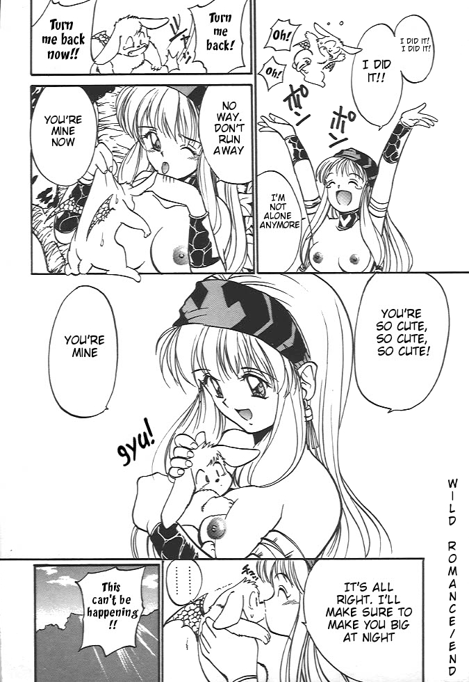 (Yutaka Tanaka) Wild Romance (eng) page 20 full