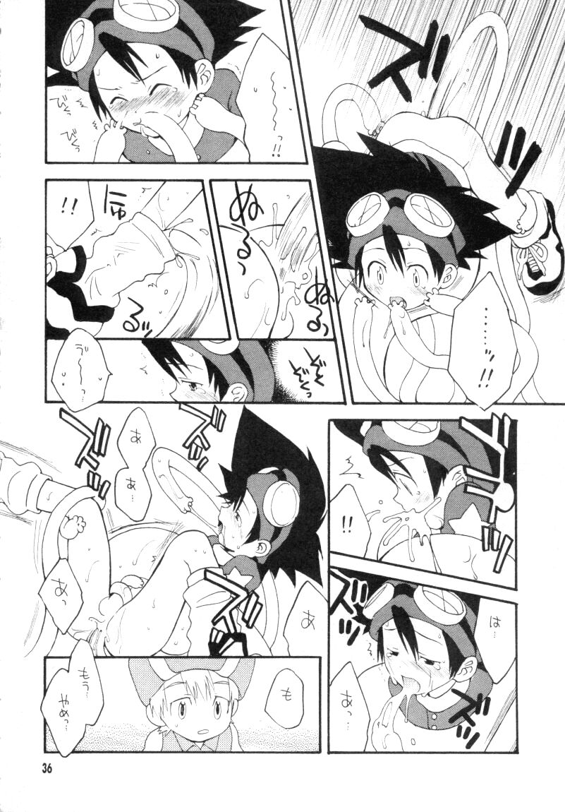 (CCTokyo96) [Haniwa Mania, Kuruguru DNA (Pon Takahanada, Hoshiai Hiro)] Bokura No Jogress World (Digimon Adventure 02) page 36 full