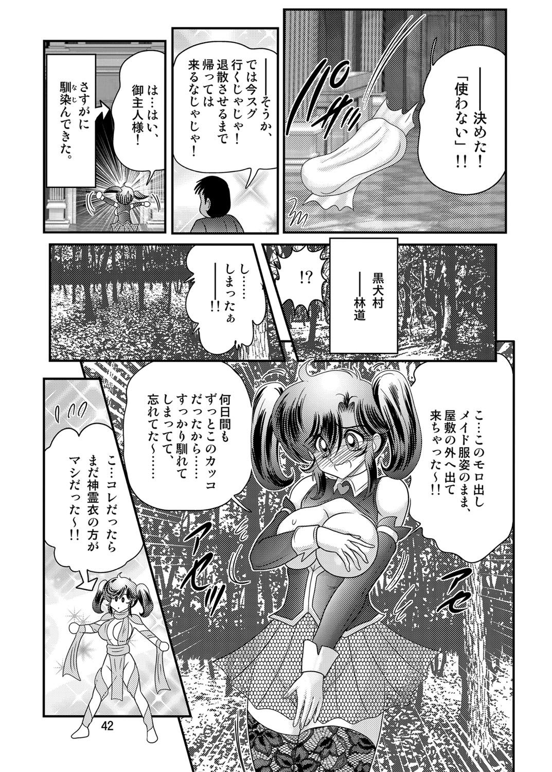 [Kamitou Masaki] Seirei Tokusou Fairy Saber W Kuro Kanjuu [Digital] page 43 full