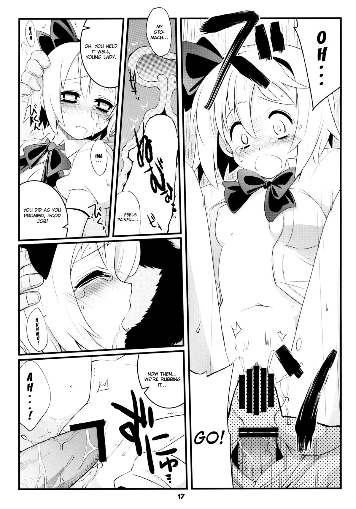 (Reitaisai 8) [Fujiiro Sabou (Fujii Jun)] Myon na Taika (Touhou Project) [English] page 17 full