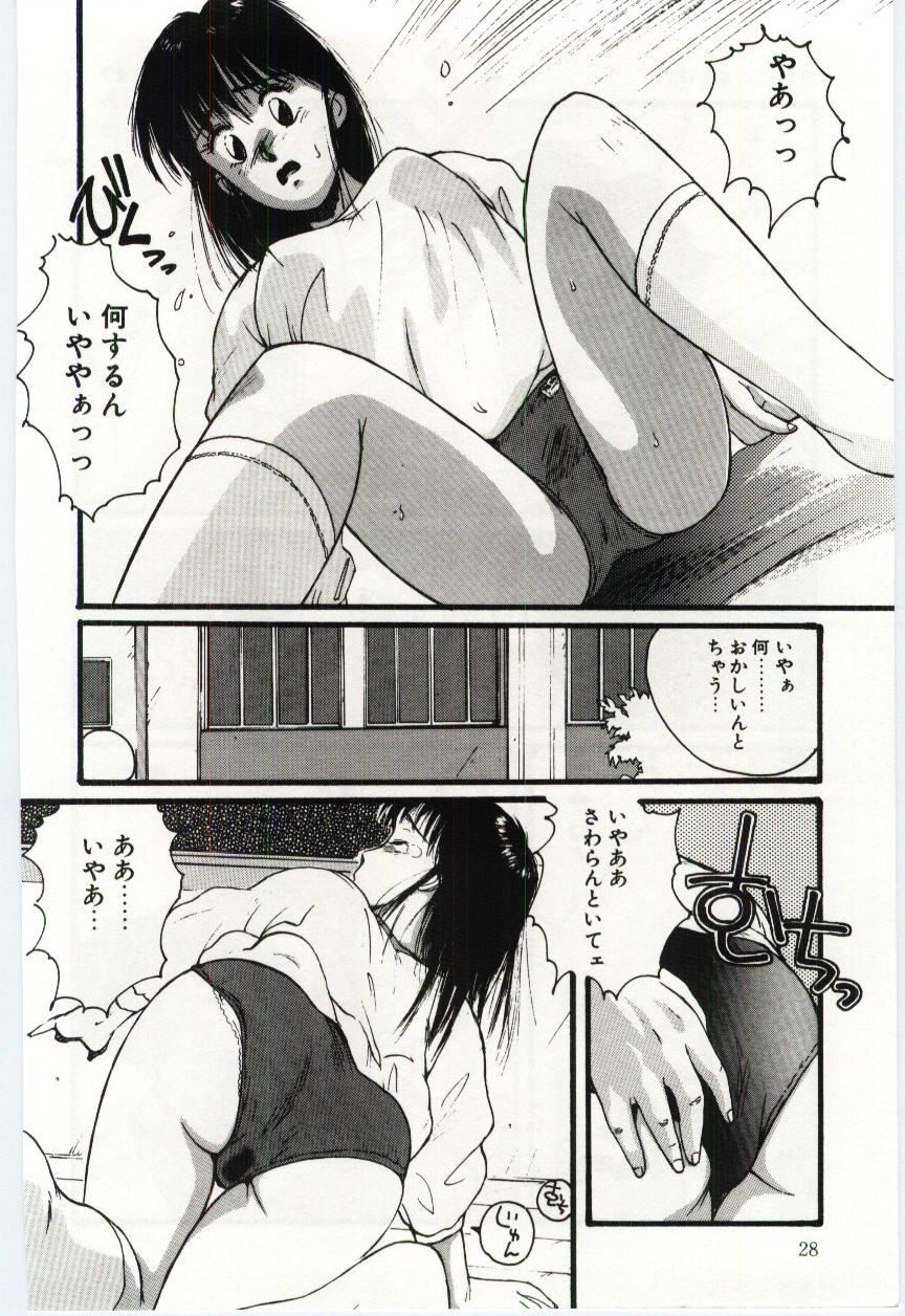 [Katase Shou] SWEET SHOT page 29 full