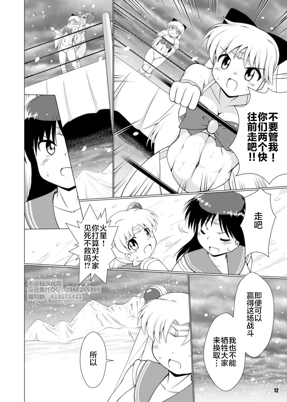 [Soket=Pocket (Soket)] Hisou naru Saishuusen (Sailor Moon) [Digital] [Chinese] [不可视汉化] page 11 full