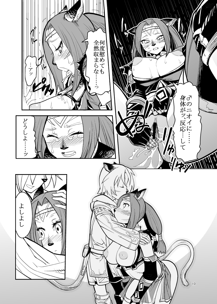 [Kuroshiki (Kurohiko)] Kuroshiki Vol. 7 (Final Fantasy XI) [Digital] page 12 full
