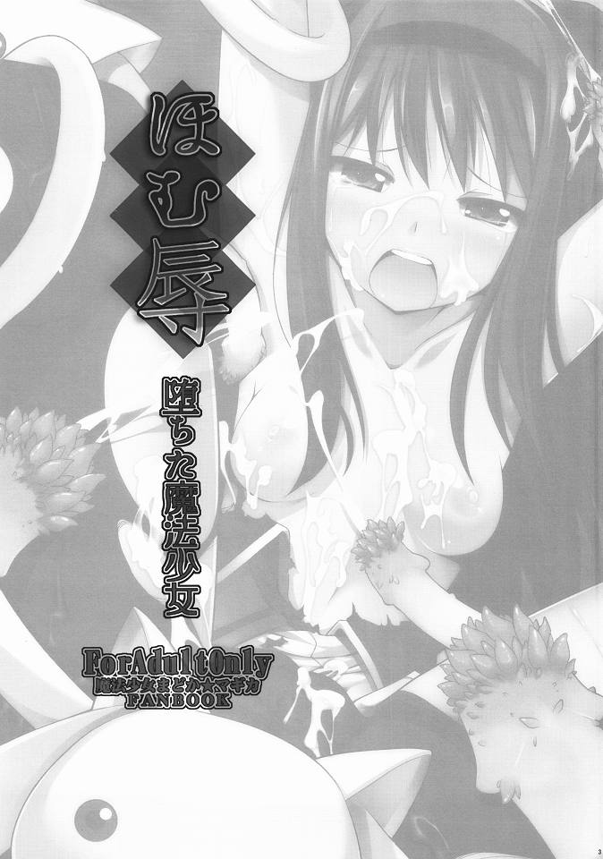 (C80) [Shitsuji no Kumaana (Shitsuji Kuma)] Homujoku Ochita Mahou Shoujo (Puella Magi Madoka Magica) page 2 full