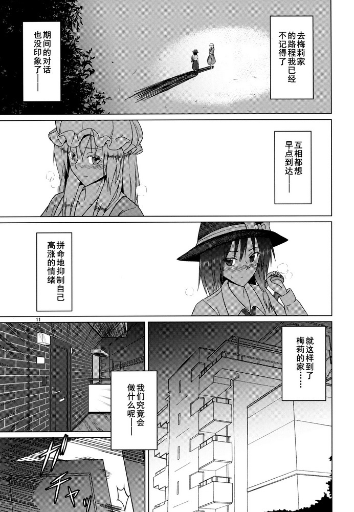 (Kyoukai kara Mieta Keshiki -Musubu-) [Mugendai (Humei)] Hifuu Club ga Hitotsu ni Natta Hi (Touhou Project) [Chinese] [伞尖汉化] page 11 full