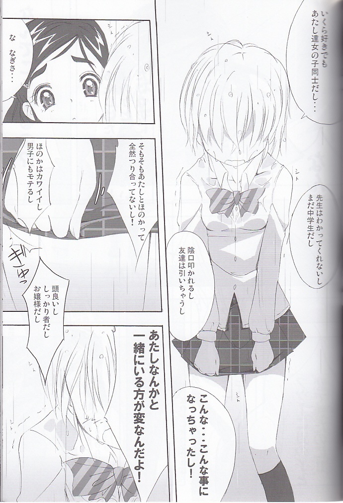 (SC27) [Moe Moe Cafe (Shitto)] honotan ll - Max Heart (Futari wa Precure) page 25 full