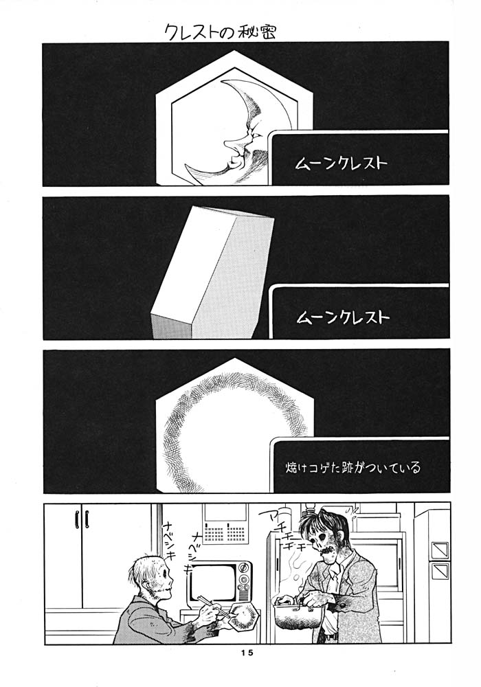 (C54) [Nawanoren (Gachoon, Roncharou)] NN ORIGINAL (Various) page 14 full