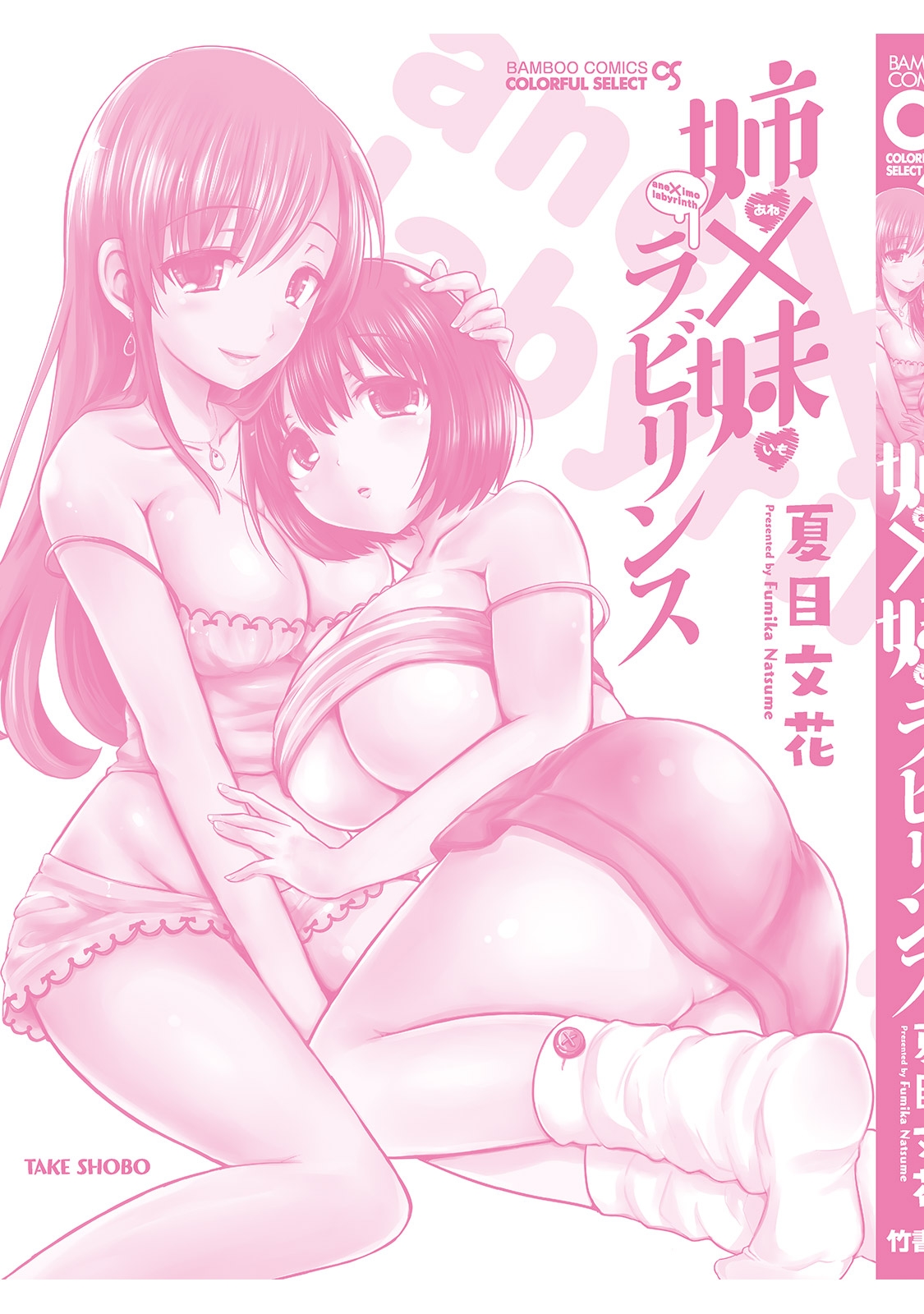 [Natsume Fumika] Ane x Imo Labyrinth [Digital] page 179 full