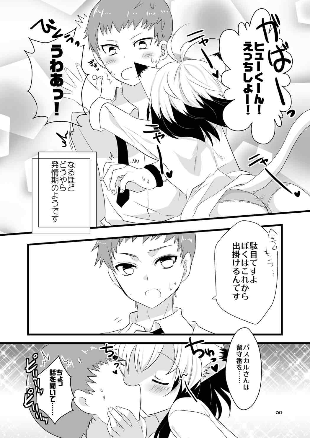 (C83) [Noix (Ootani Mikoto)] Pascal-san Hatsujouki (Tales of Graces) page 30 full