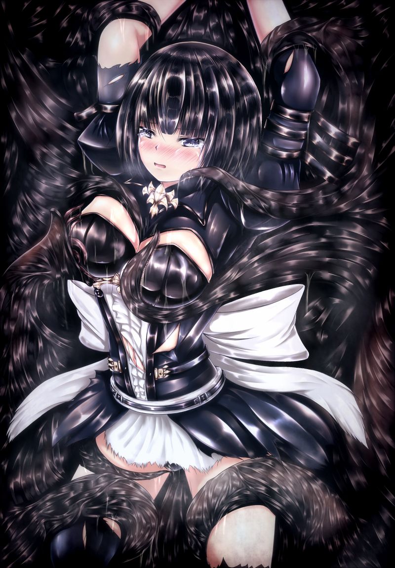 [Hayashi] シャドバスの本 (Shadowverse) page 1 full