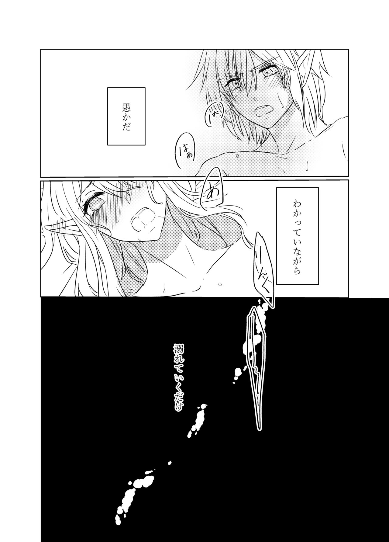 [ふぇる＊まぁた] 夜迷言 (The Legend of Zelda) [Digital] page 26 full