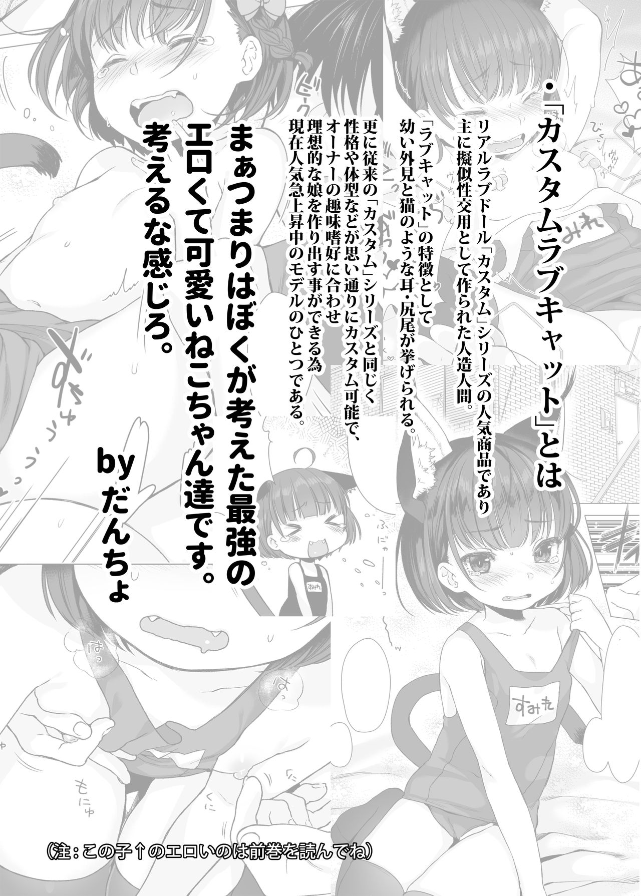 [Himitsukessya Usagi (Dancyo)] CUSTOMLOVECATs 3rd [English] [AudreyLi] [Digital] page 3 full