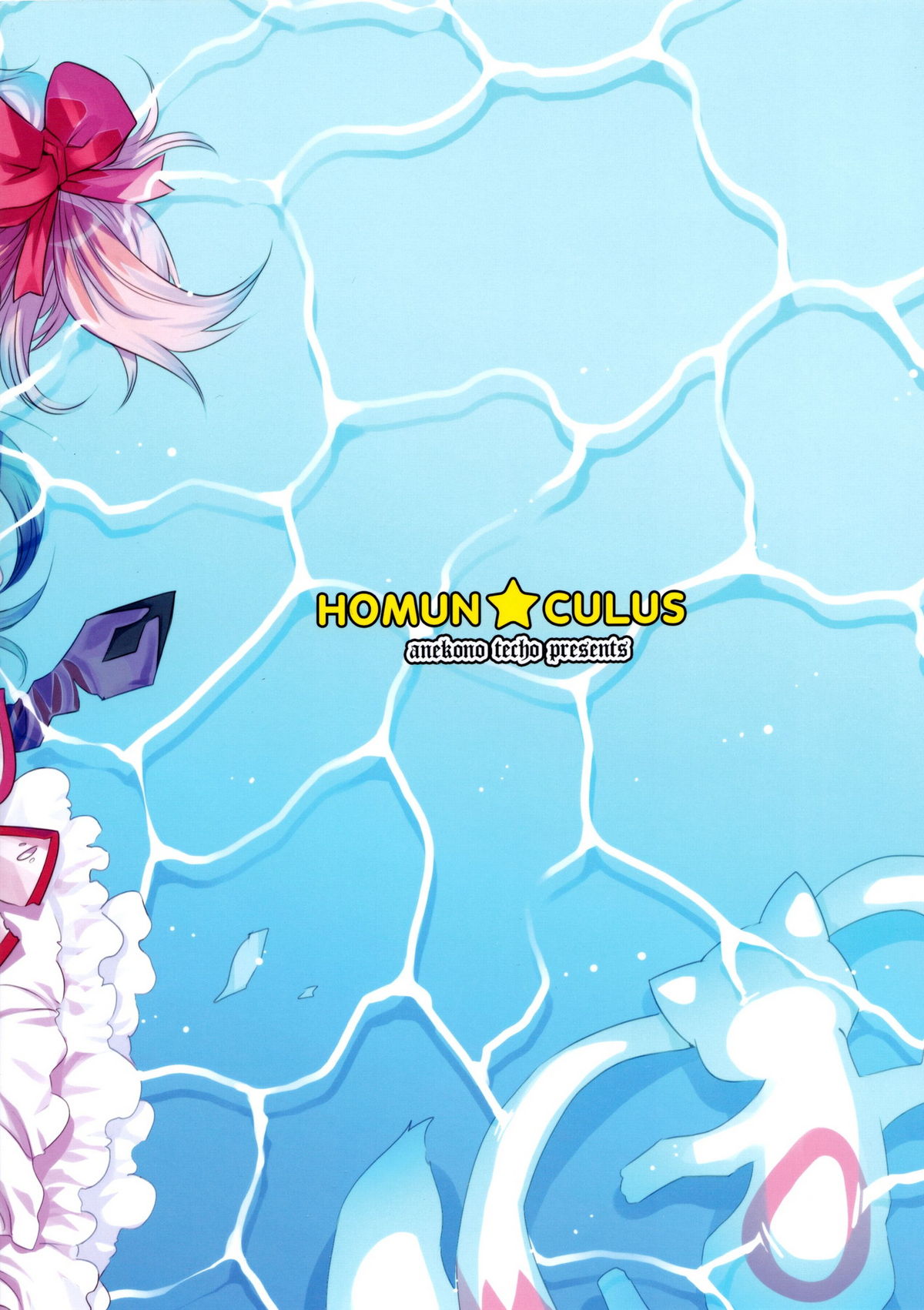 (C80) [Aneko no Techo (Koume Keito)] HOMUN★CULUS (Puella Magi Madoka☆Magica) page 26 full