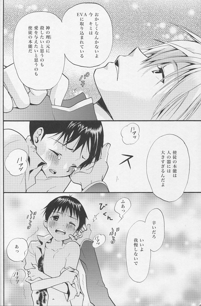 (C77) [RAYTREC (Fuyunagi Reku)] +PLUS (Neon Genesis Evangelion) page 19 full