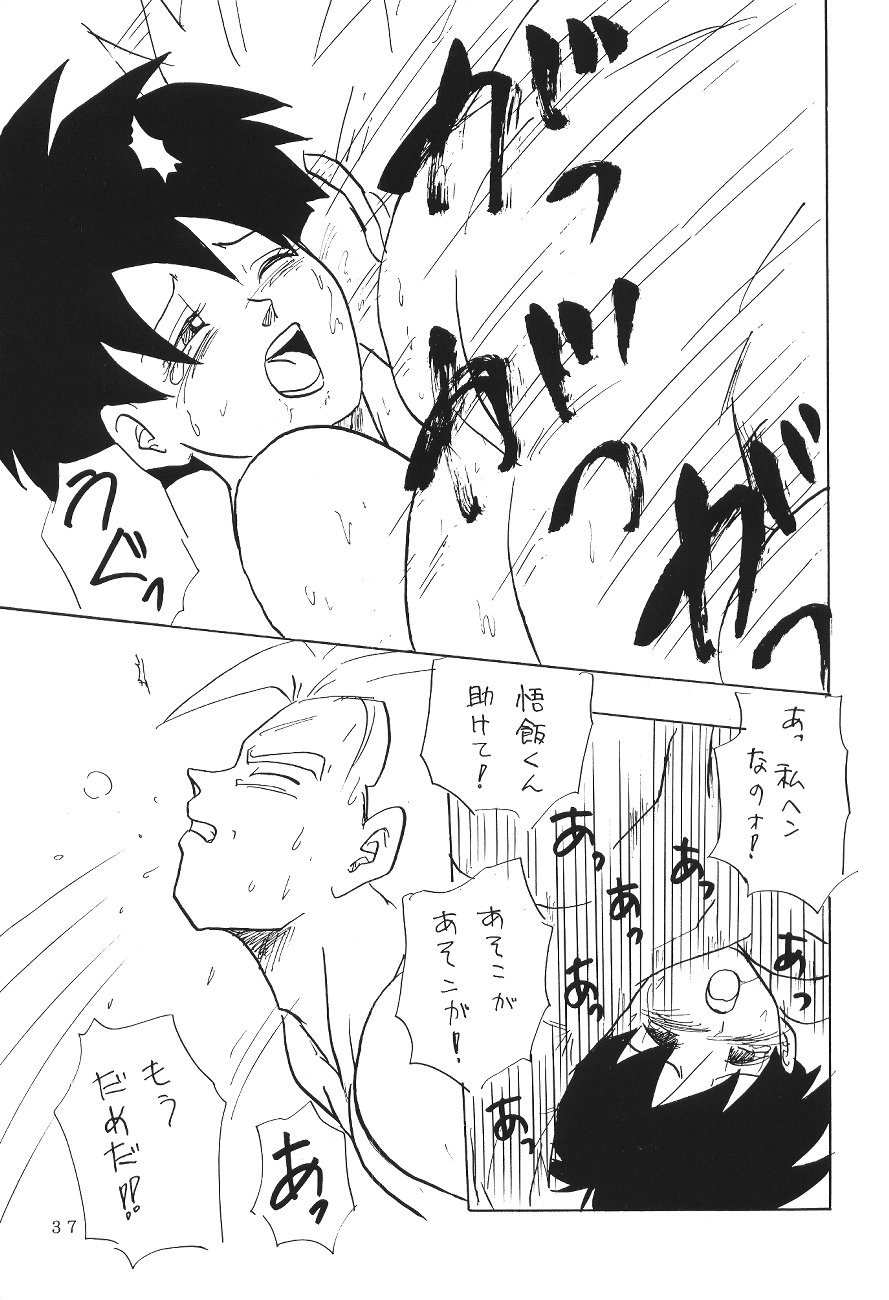 (C45) [Chirigami Goya, Fusuma go Ten (Shoji Hariko)] XXX (DRAGON BALL) page 36 full