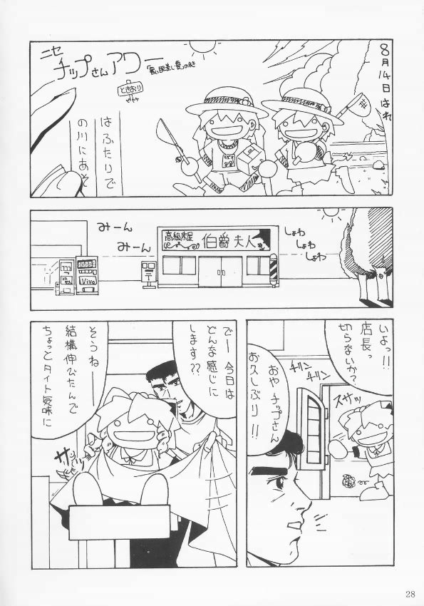 (C68) [AKKAN-Bi PROJECT (Yanagi Hirohiko)] RED BRAVO (Mobile Suit Gundam Seed Destiny) page 27 full