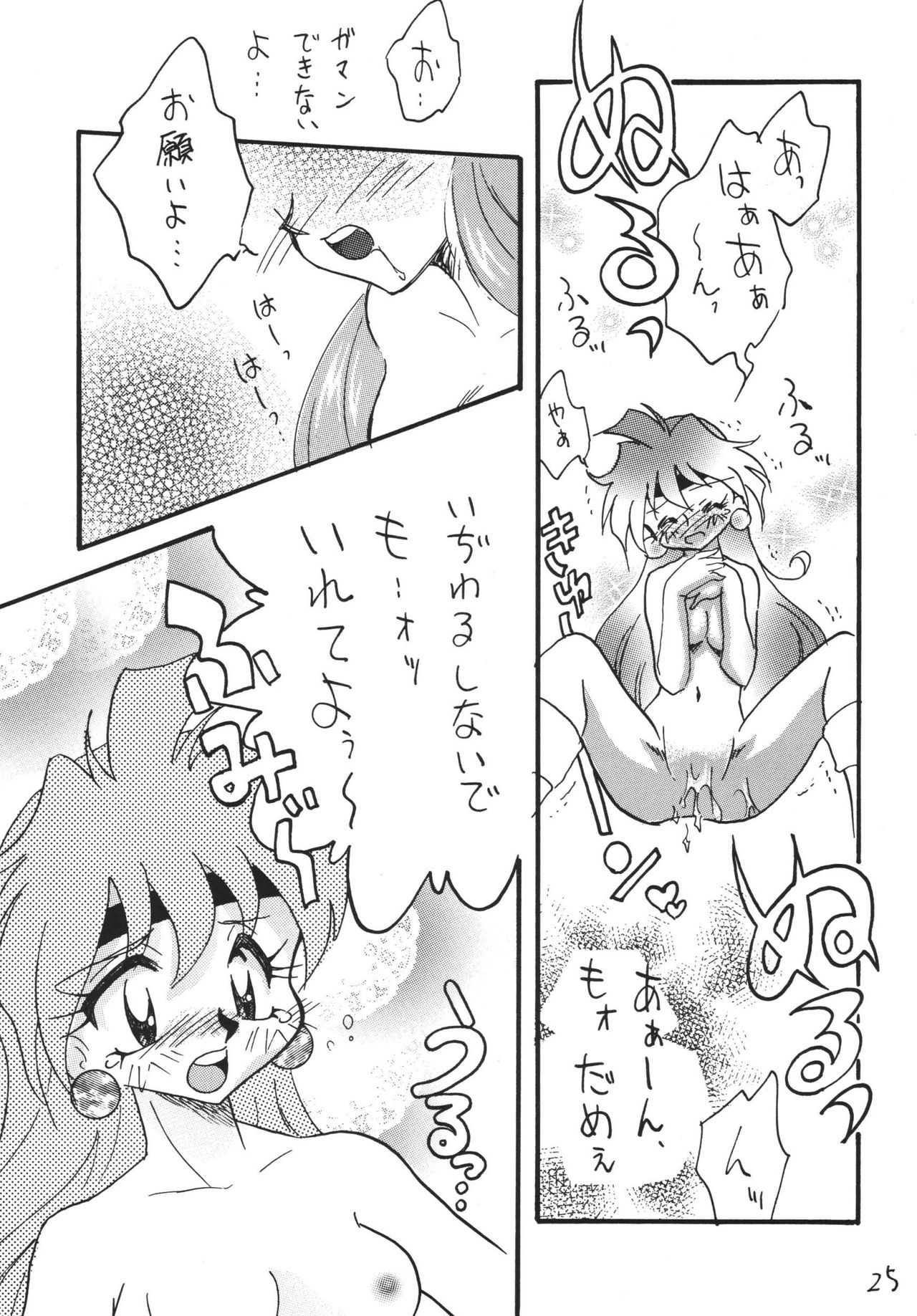 [Ginmomodou (Mita Satomi)] SLAYERS ADULT 13 (Slayers) [Digital] page 25 full