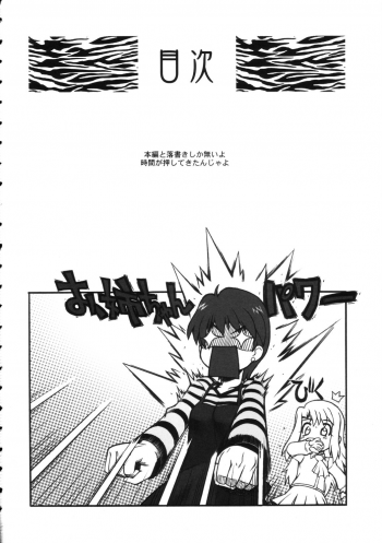 [Dennou Denpa Hatsureisho] Tiger Tron - Drunkar of Tiger (Fate/Stay Night) - page 4