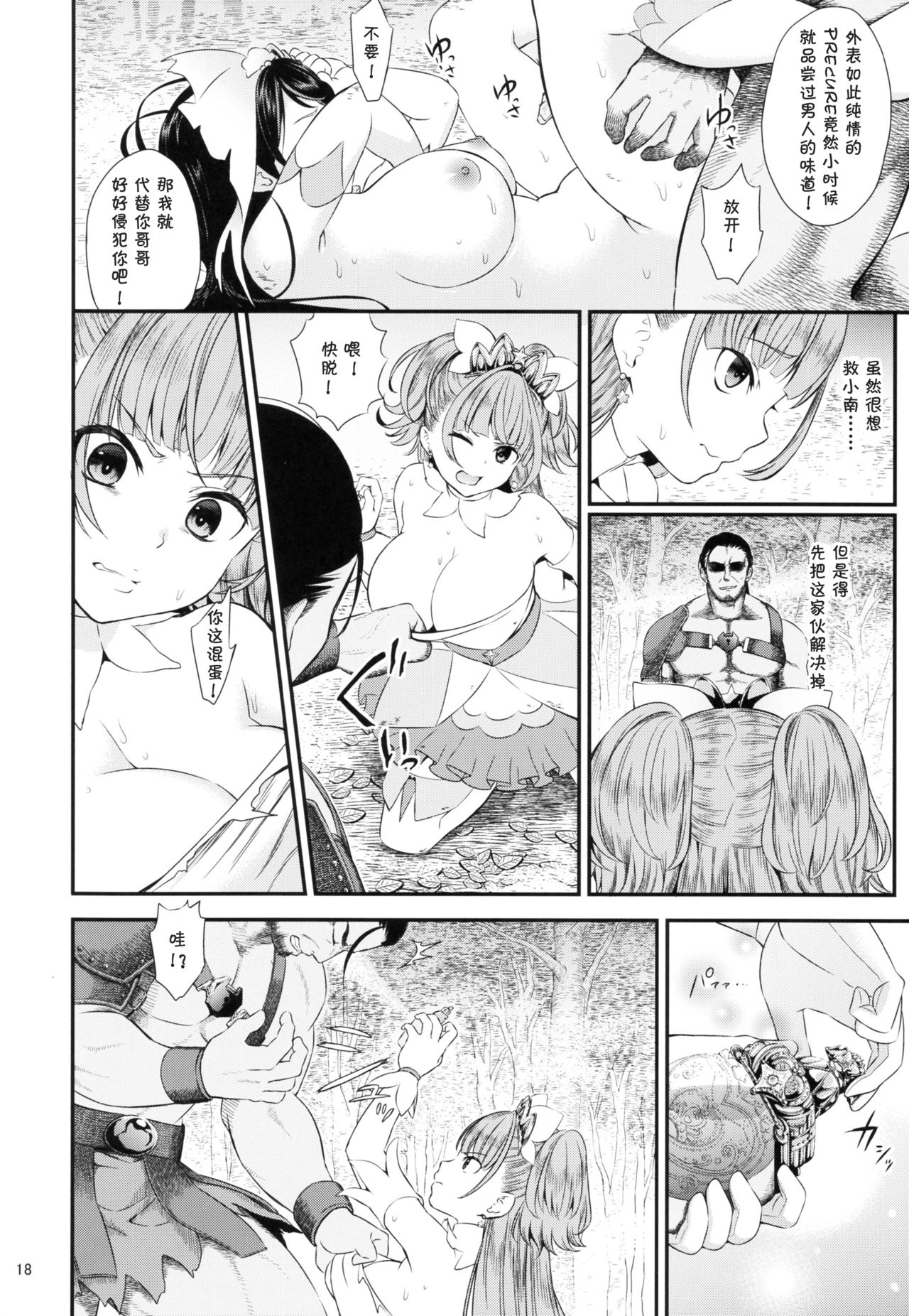 (C88) [Yamada Ichizoku. (Fukurokouji, Mokyu)] Seidorei Senki (Go! Princess PreCure) [Chinese] [夏姬霸汉化组] page 19 full