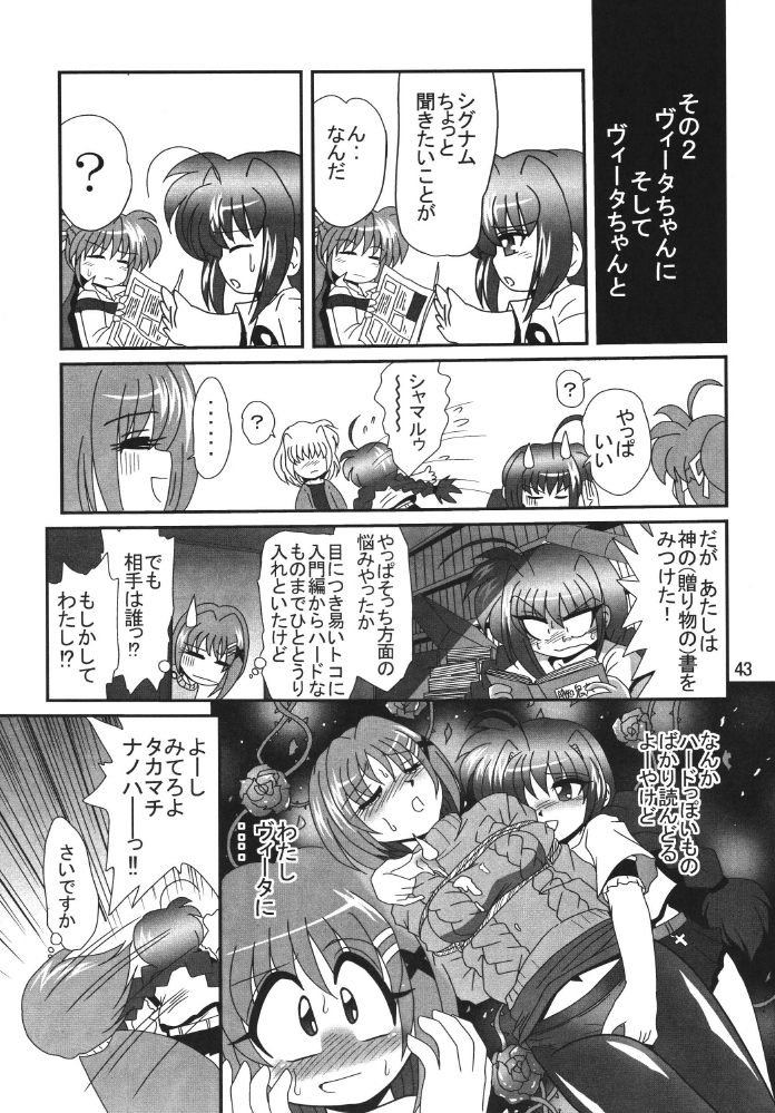 [Thirty Saver Street 2D Shooting] Storage Ignition 2 (Mahou Shoujo Lyrical Nanoha / Magical Girl Lyrical Nanoha) page 43 full