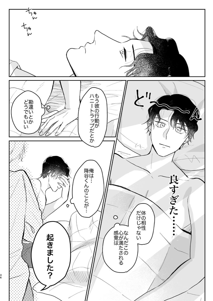 (Chou Himitsu no Ura Kagyou 2019) [Tori Sankaku (Piyodo)] Kore wa Shigoto Janai (Meitantei Conan) page 33 full