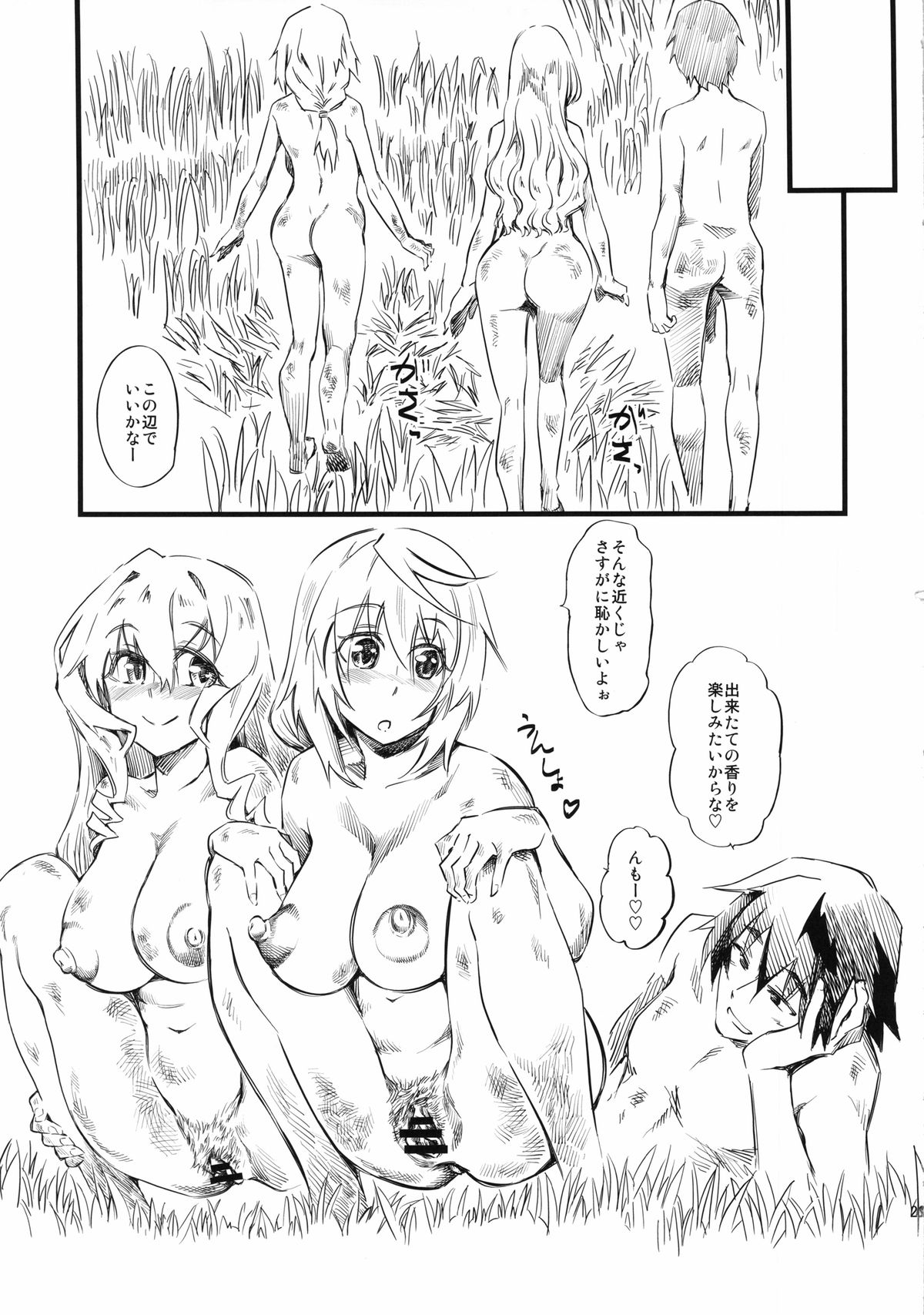 (C85) [Hi-per Pinch (clover)] N (IS <Infinite Stratos>) page 22 full