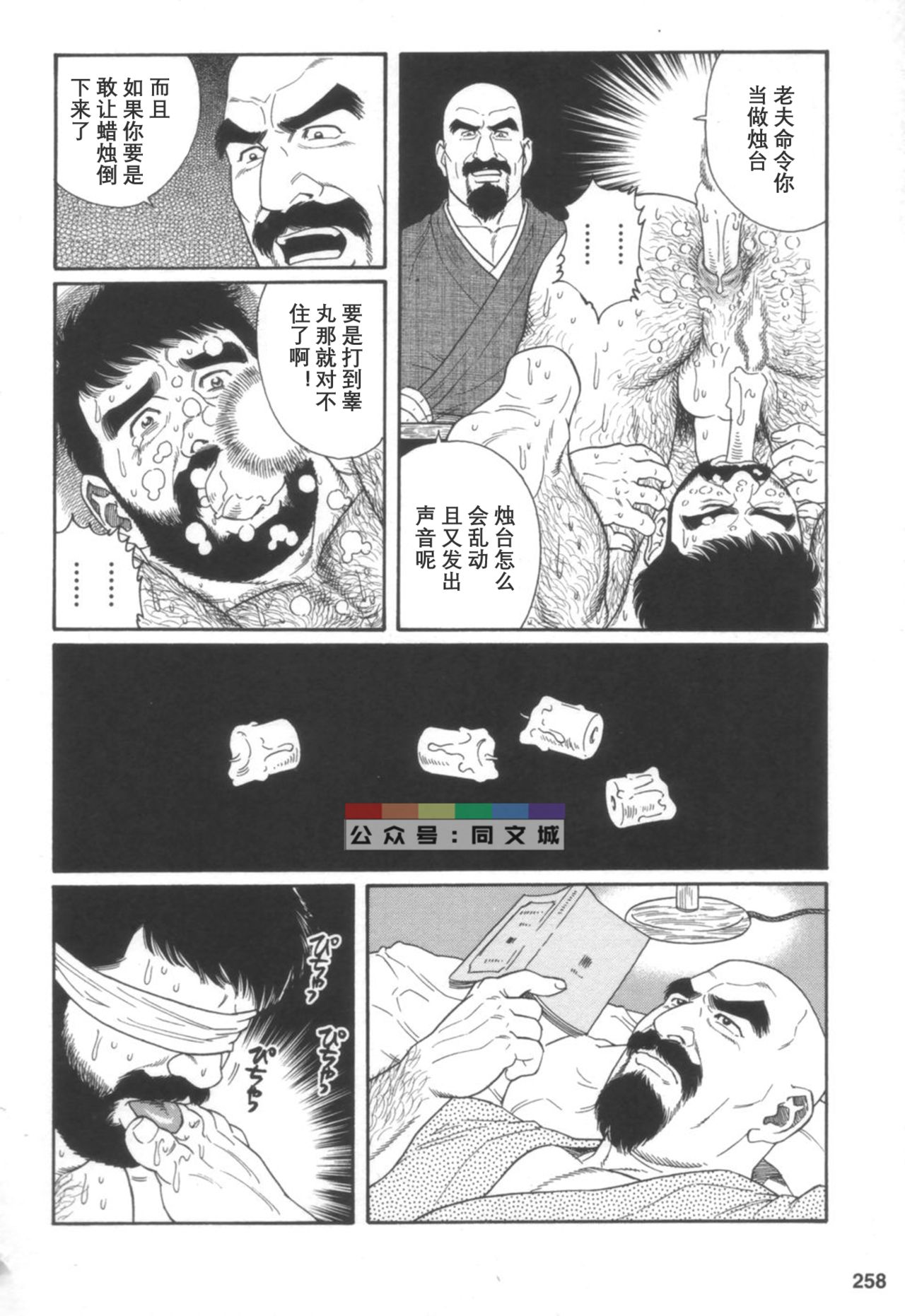 [Tagame Gengoroh] Gedou no Ie Joukan [Chinese][同文城] page 257 full