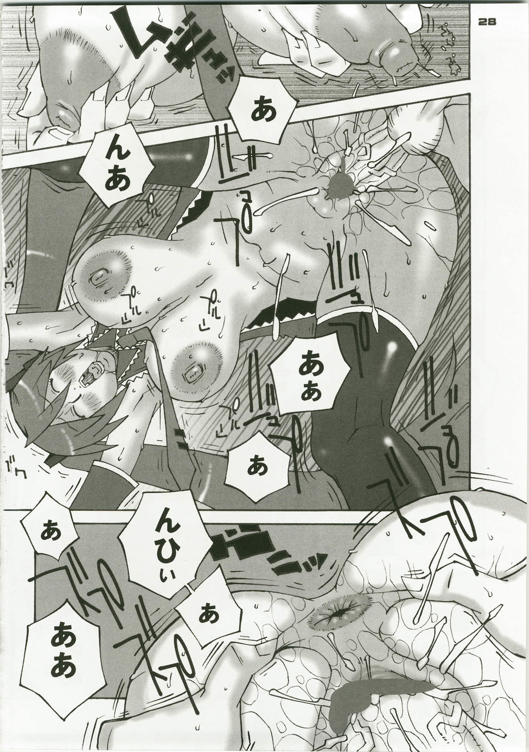 (C74) [Kebero Co., Ltd. (Various)] Shin Hanajuuryoku 17 (Macross Frontier) page 28 full