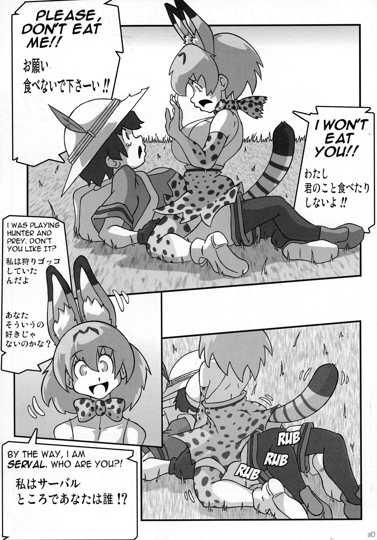 (C92) [KEBERO Corp (Various)] Shin Hanzuuryoku 35 (Girls und Panzer, Kemono Friends) page 30 full