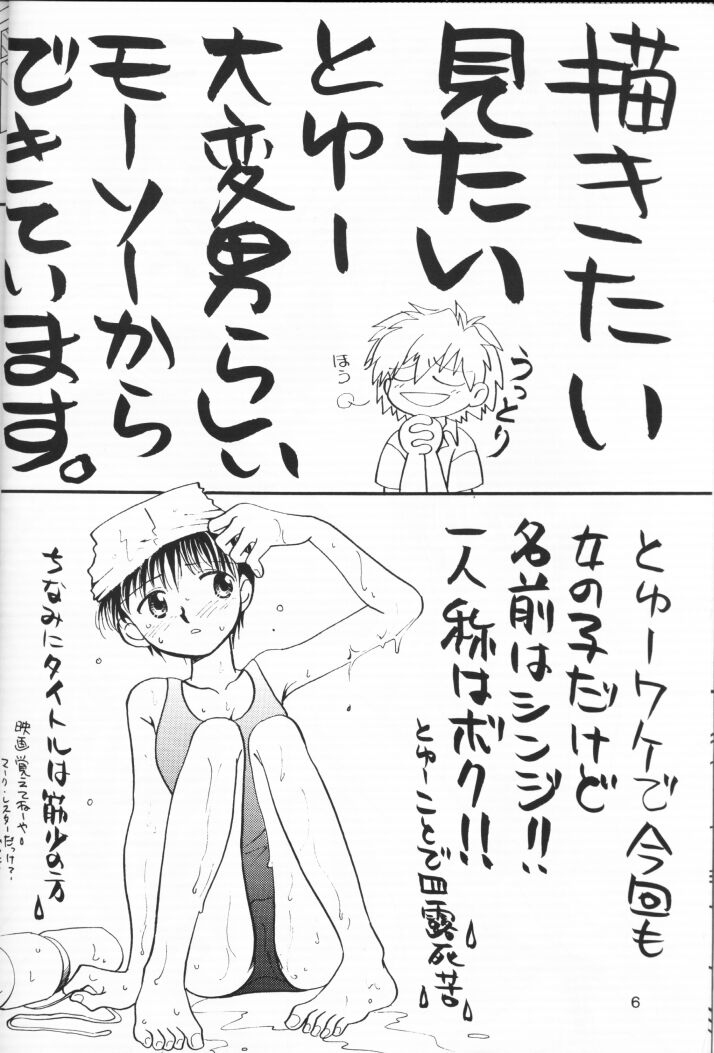 (C54) [Nikkou Kikaku (Gotou Noriko)] Chiisana Koi no Melody (Neon Genesis Evangelion) page 5 full