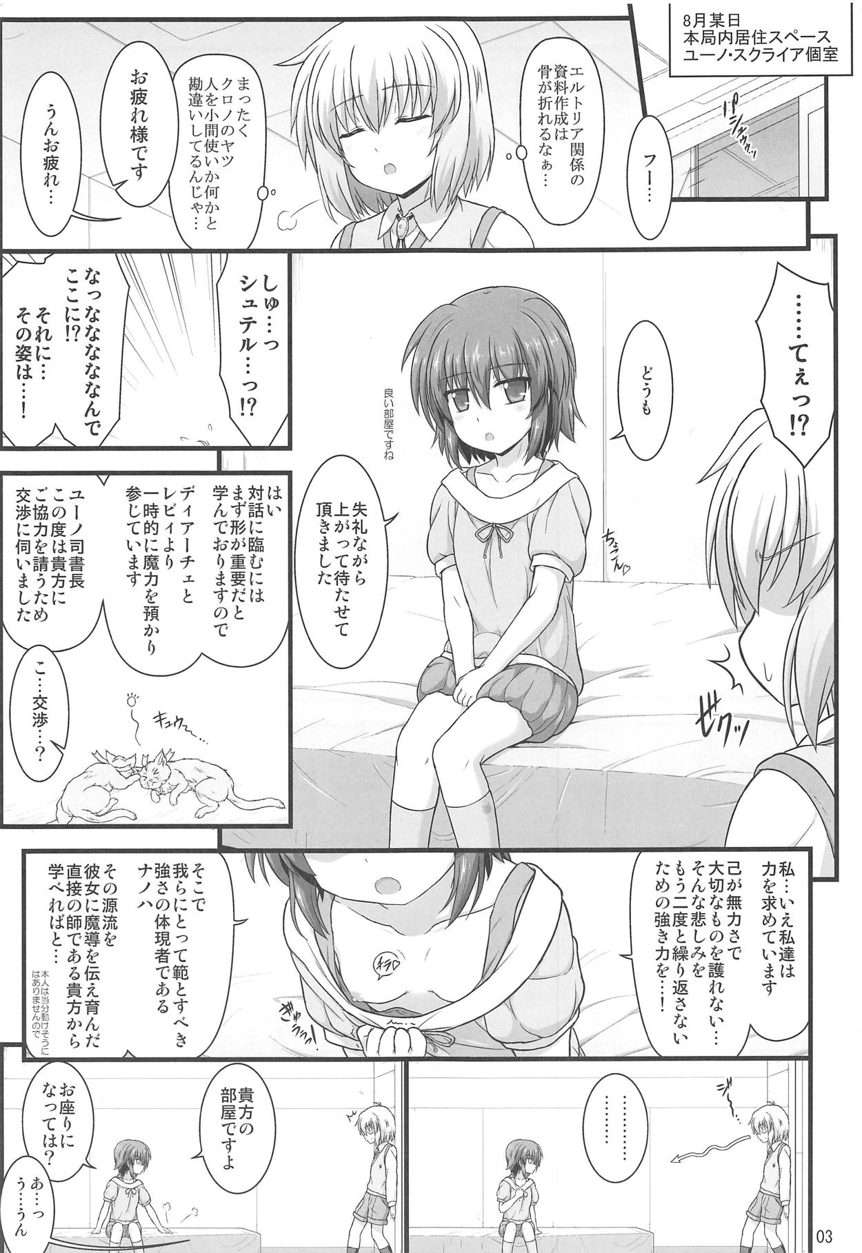 (C95) [Kuchiki no Uro (Enma Koorogi)] Seikou no Senmetsusha (Mahou Shoujo Lyrical Nanoha Detonation) page 2 full