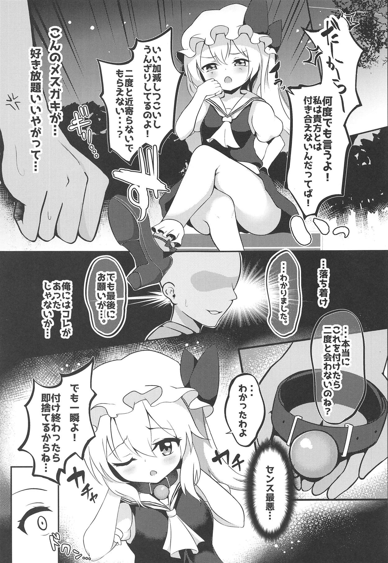 (C95) [Saigo made Anko Tappuri (Akiba Monaka)] Kawaii Kyuuketsuki no Tenazukekata (Touhou Project) page 4 full