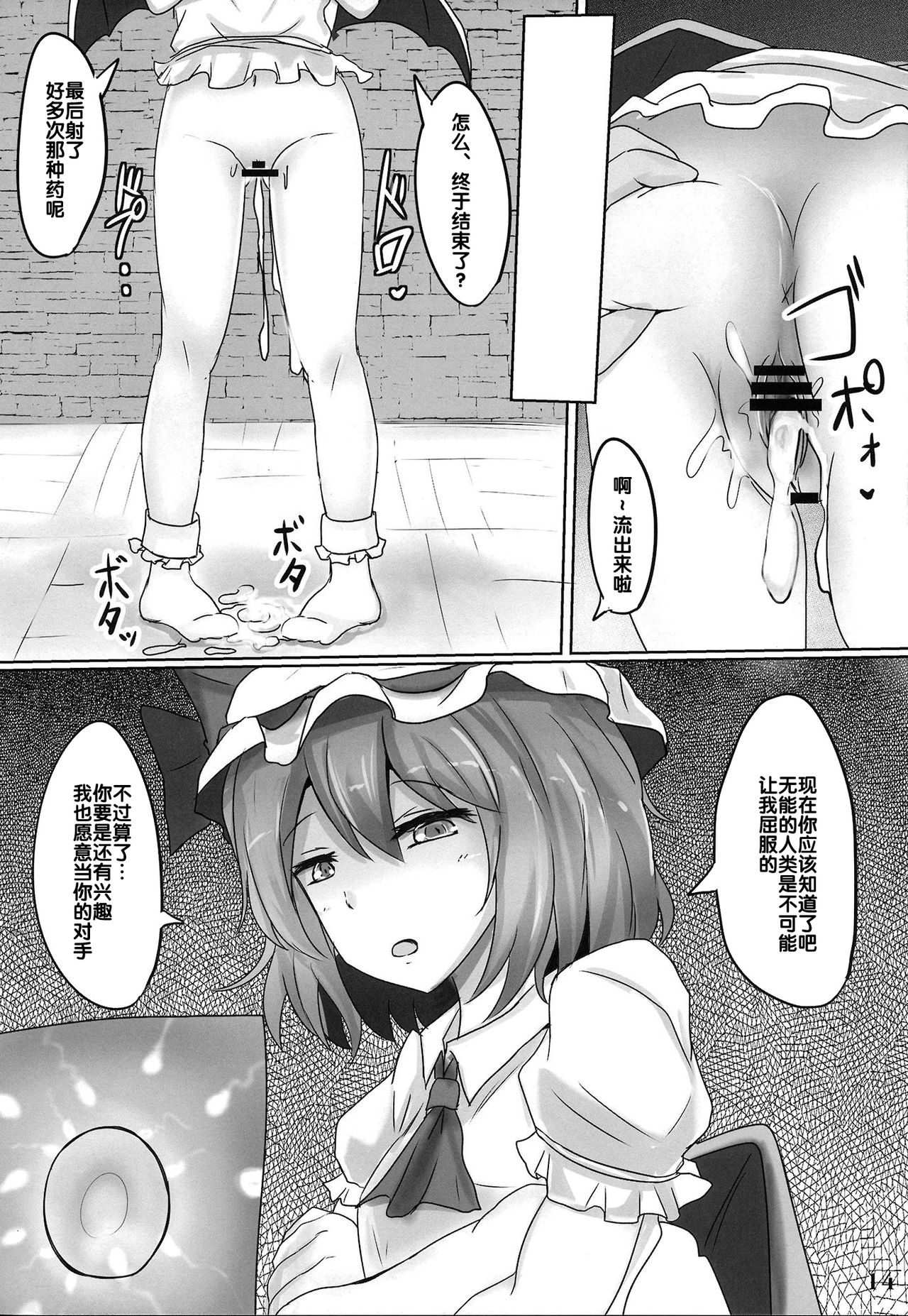 (C84) [Hakuginmokusei (Poshi)] Muchi Situ Assort (Touhou Project) [Chinese] [后悔的神官个人汉化] page 14 full