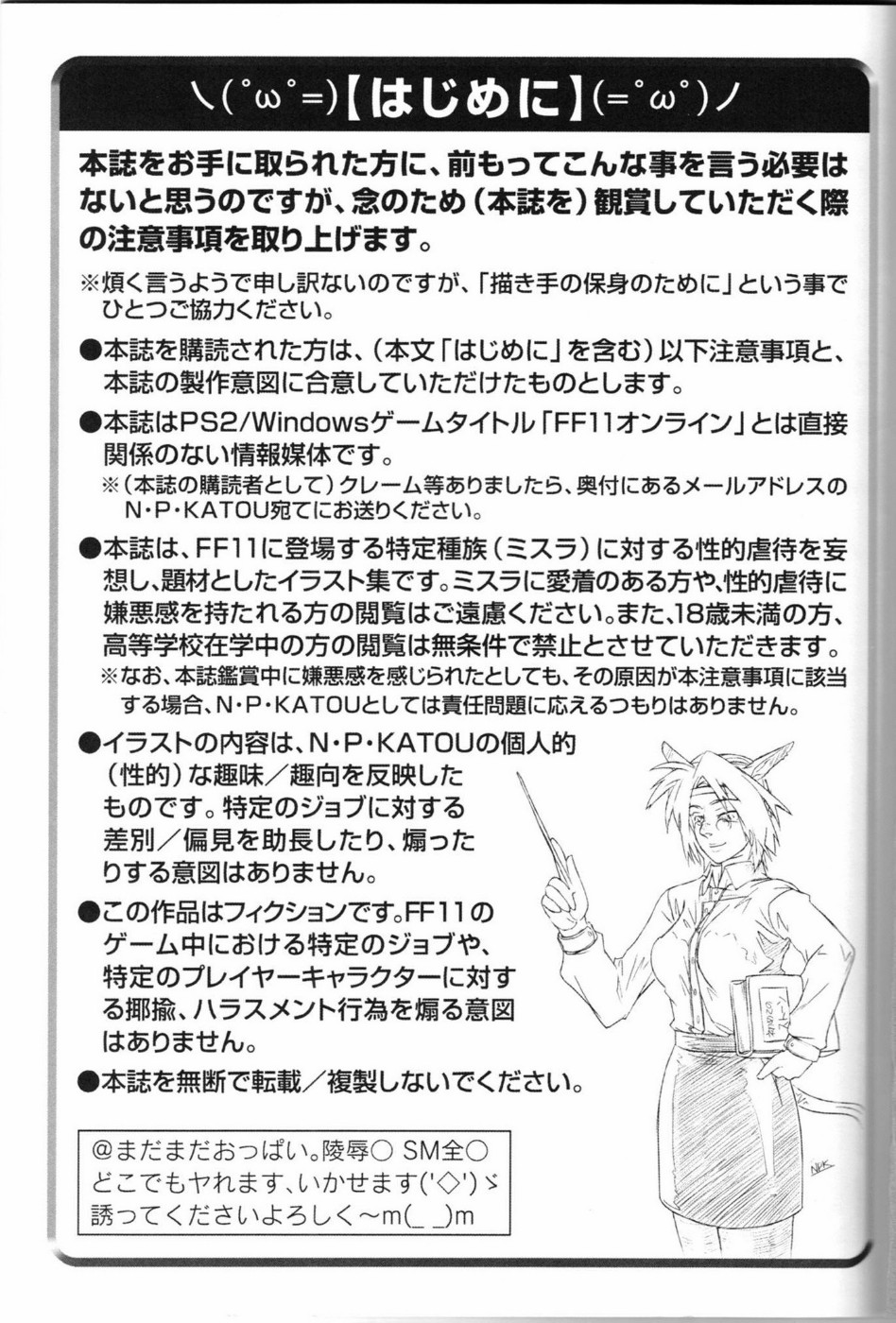 (C67) [NP Virus Jouryuusho (N-P-KATOU)] Mithman Report FILE:00-FILE:15 (Final Fantasy XI) page 2 full
