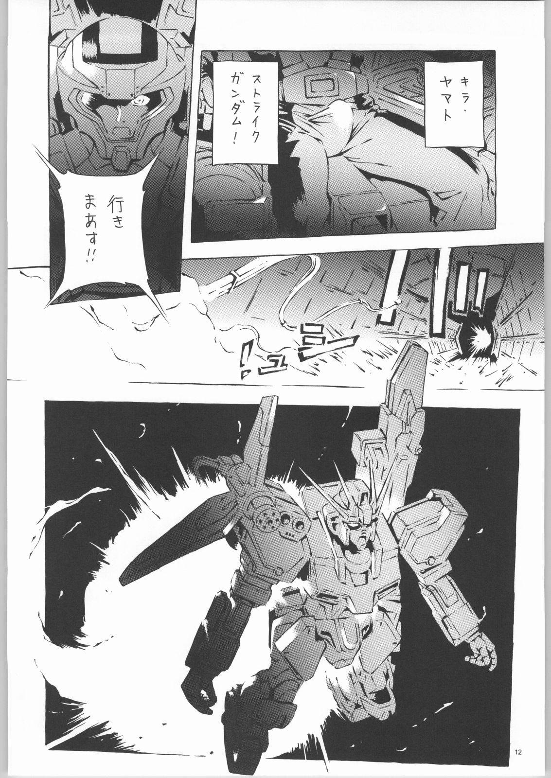 (C66) [Dish up (Warabi Yuuzou)] Kekkan Dam Dam A (Gundam Seed) page 11 full